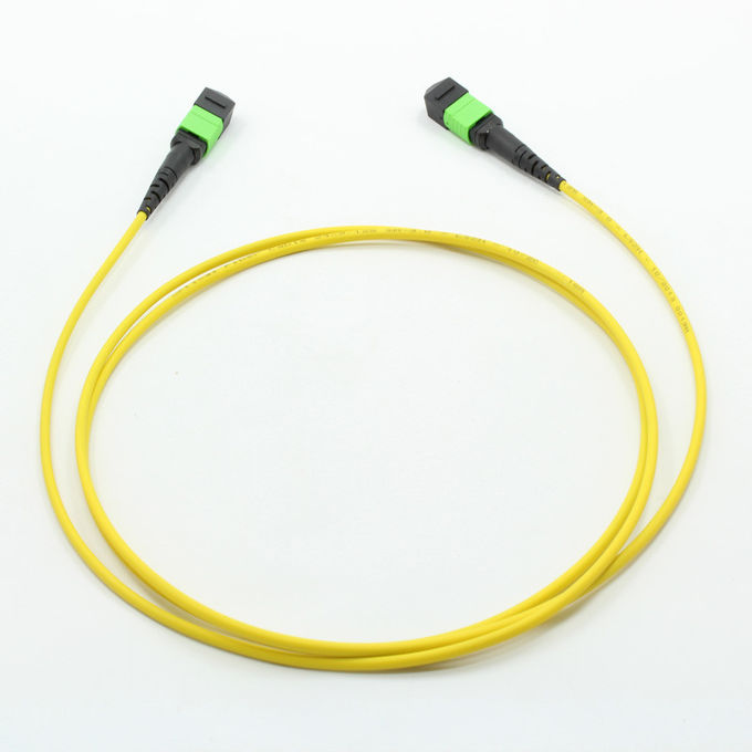 ชาย / UPC - สายแพทช์ไฟเบอร์ออปติก SMF MPO ของชาย 2 ถึง 24 แกน IS0 เป็นไปตามมาตรฐาน RoHS