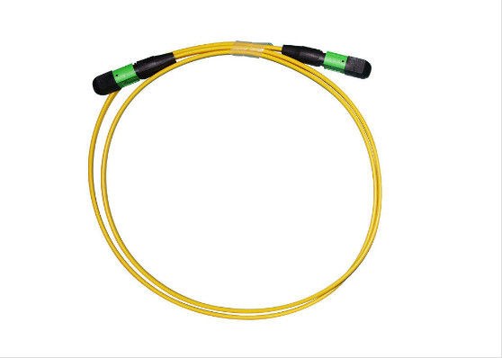 สายแพทช์ MPO ของชาย / UPC ขนาดกะทัดรัด SMF 2 - 24 แกน IS0 / ROHS จดทะเบียนทนทาน ผู้ผลิต